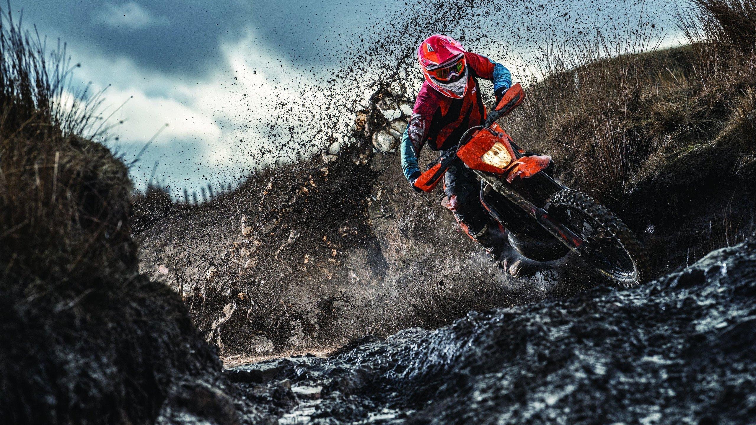 国羽新星闪耀全英赛，力克强敌斩获男单冠军